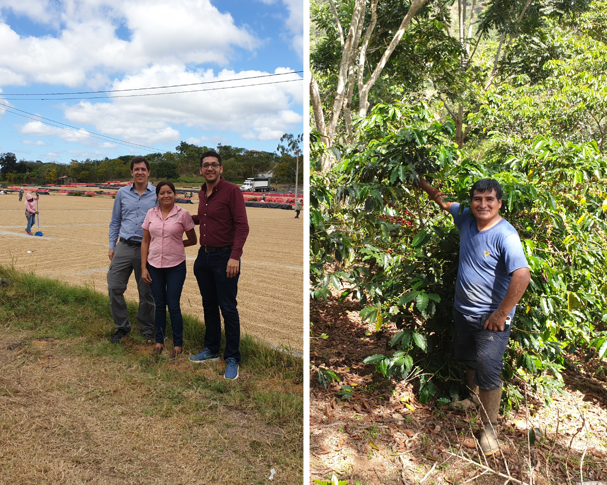 FairCapital meets the management of UCA San Juan de Rio Coco (on the left) and a producer from the Cooperativa Juan Santos Atahualpa (on the right).